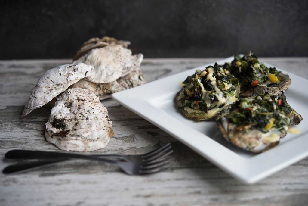 Chesapeake Bay Oysters at Happy Hour